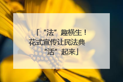 “法”趣横生！花式宣传让民法典“活”起来