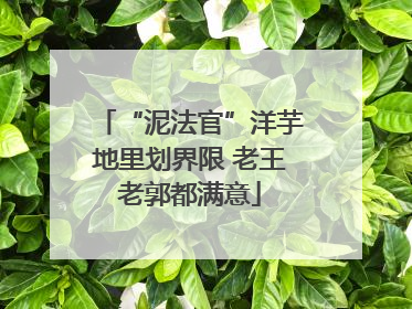 “泥法官”洋芋地里划界限 老王老郭都满意