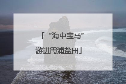 “海中宝马”游进霞浦盐田