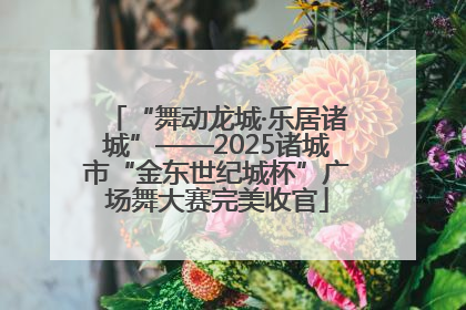 “舞动龙城·乐居诸城”——2025诸城市“金东世纪城杯”广场舞大赛完美收官