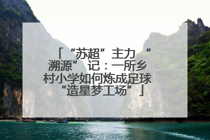 “苏超”主力 “溯源” 记：一所乡村小学如何炼成足球 “造星梦工场”