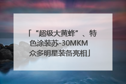 “超级大黄蜂”、特色涂装苏-30MKM 众多明星装备亮相