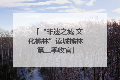 “非遗之城 文化榆林”读城榆林第二季收官