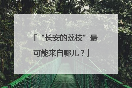 “长安的荔枝”最可能来自哪儿？