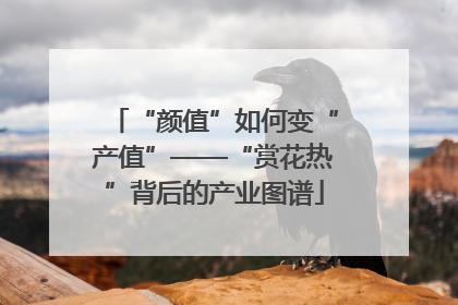 “颜值”如何变“产值”——“赏花热”背后的产业图谱