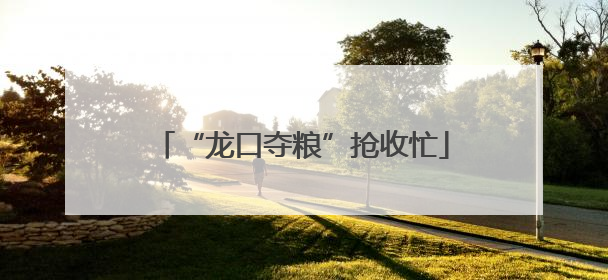 “龙口夺粮”抢收忙