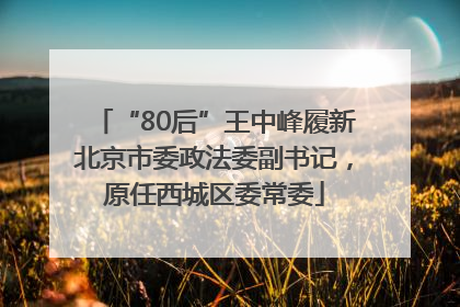 “80后”王中峰履新北京市委政法委副书记，原任西城区委常委