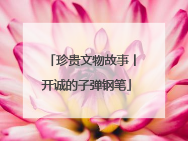 珍贵文物故事丨开诚的子弹钢笔