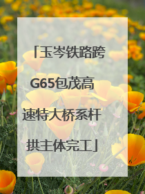 玉岑铁路跨G65包茂高速特大桥系杆拱主体完工