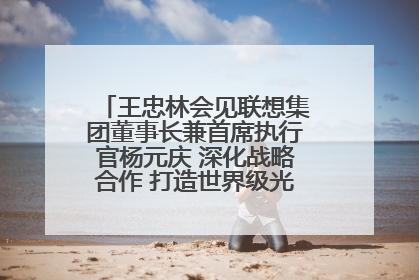 王忠林会见联想集团董事长兼首席执行官杨元庆 深化战略合作 打造世界级光电子信息产业集群