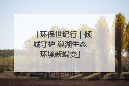 环保世纪行｜倾城守护 巢湖生态环境新蝶变