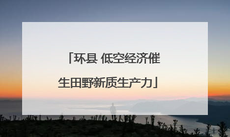 环县 低空经济催生田野新质生产力