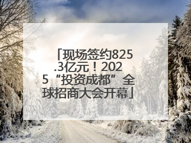 现场签约825.3亿元！2025“投资成都”全球招商大会开幕