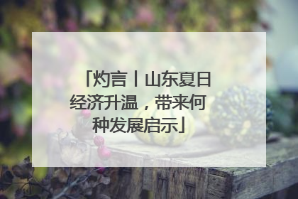灼言丨山东夏日经济升温，带来何种发展启示