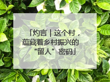 灼言｜这个村，蕴藏着乡村振兴的“留人”密码