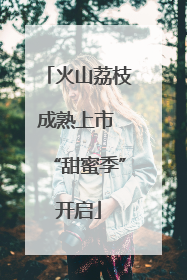 火山荔枝成熟上市 “甜蜜季”开启