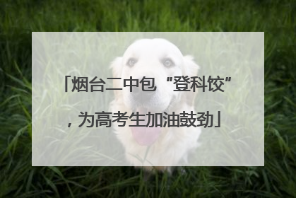 烟台二中包“登科饺”，为高考生加油鼓劲