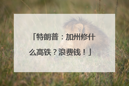特朗普：加州修什么高铁？浪费钱！