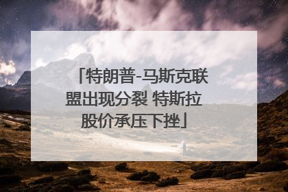 特朗普-马斯克联盟出现分裂 特斯拉股价承压下挫