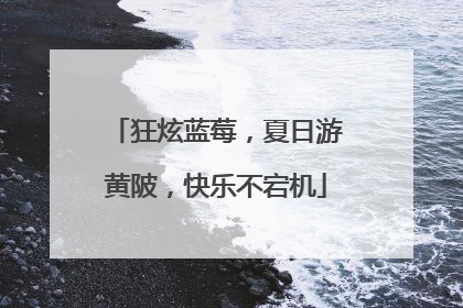 狂炫蓝莓，夏日游黄陂，快乐不宕机