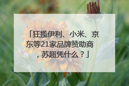 狂揽伊利、小米、京东等21家品牌赞助商，苏超凭什么？