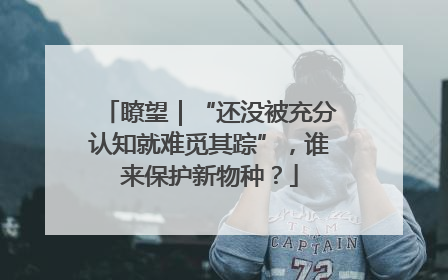 瞭望｜“还没被充分认知就难觅其踪”，谁来保护新物种？