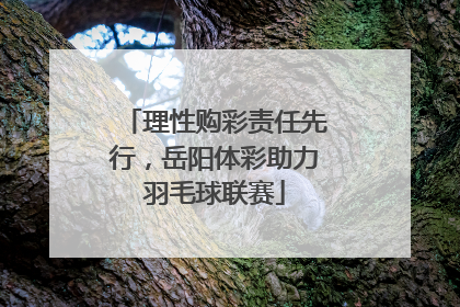 理性购彩责任先行，岳阳体彩助力羽毛球联赛