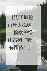 男子擅挖百年大樟树，检察护绿让古树“老有所依”