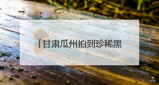 甘肃瓜州拍到珍稀黑颈鹤的“安家照”