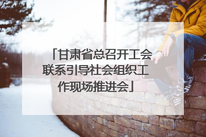 甘肃省总召开工会联系引导社会组织工作现场推进会