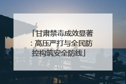 甘肃禁毒成效显著：高压严打与全民防控构筑安全防线