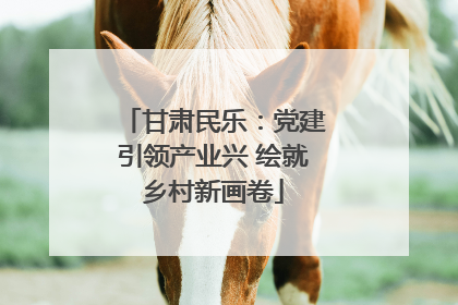 甘肃民乐：党建引领产业兴 绘就乡村新画卷