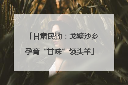 甘肃民勤：戈壁沙乡孕育“甘味”领头羊