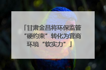甘肃金昌将环保监管“硬约束”转化为营商环境“软实力”