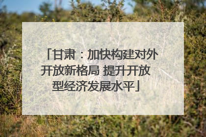 甘肃：加快构建对外开放新格局 提升开放型经济发展水平