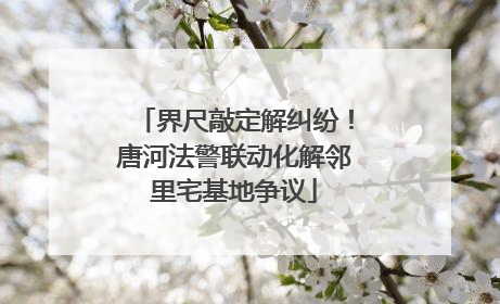 界尺敲定解纠纷！唐河法警联动化解邻里宅基地争议