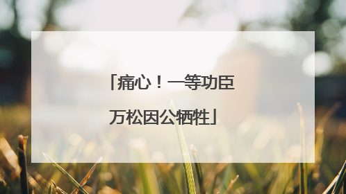 痛心！一等功臣万松因公牺牲