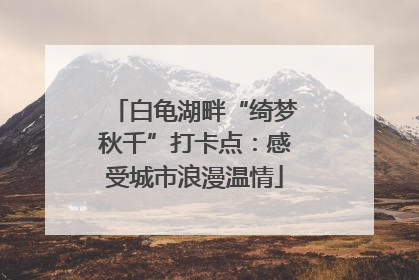 白龟湖畔“绮梦秋千”打卡点：感受城市浪漫温情