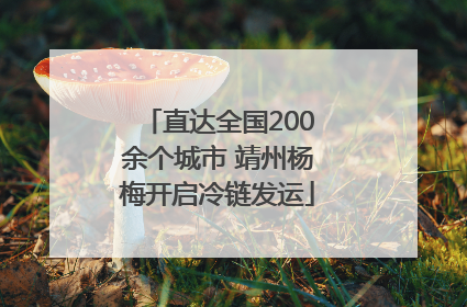 直达全国200余个城市 靖州杨梅开启冷链发运