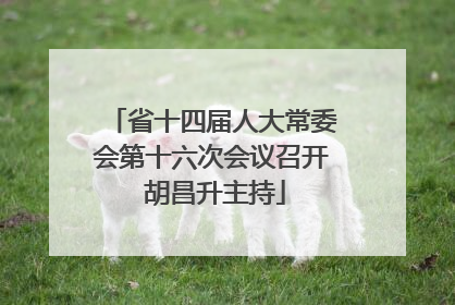 省十四届人大常委会第十六次会议召开 胡昌升主持