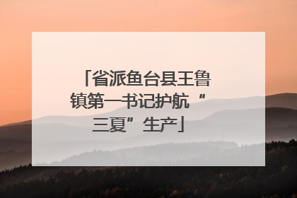 省派鱼台县王鲁镇第一书记护航“三夏”生产