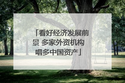 看好经济发展前景 多家外资机构唱多中国资产