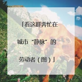 看这群奔忙在城市“静脉”的劳动者（图）