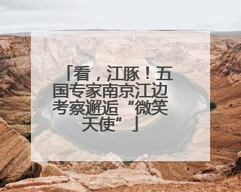 看，江豚！五国专家南京江边考察邂逅“微笑天使”