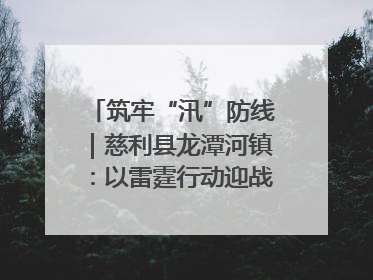 筑牢“汛”防线｜慈利县龙潭河镇：以雷霆行动迎战暴雨洪峰