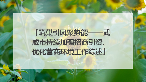 筑巢引凤聚势能——武威市持续加强招商引资、优化营商环境工作综述