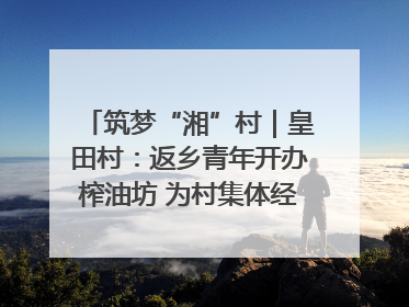 筑梦“湘”村｜皇田村：返乡青年开办榨油坊 为村集体经济“加油”