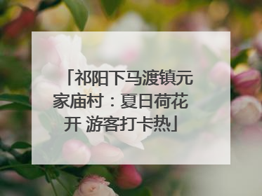 祁阳下马渡镇元家庙村：夏日荷花开 游客打卡热