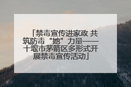 禁毒宣传进家政 共筑防毒“她”力量——十堰市茅箭区多形式开展禁毒宣传活动