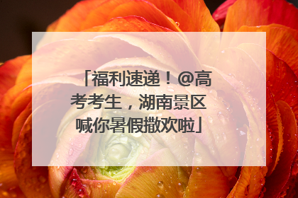 福利速递！@高考考生，湖南景区喊你暑假撒欢啦